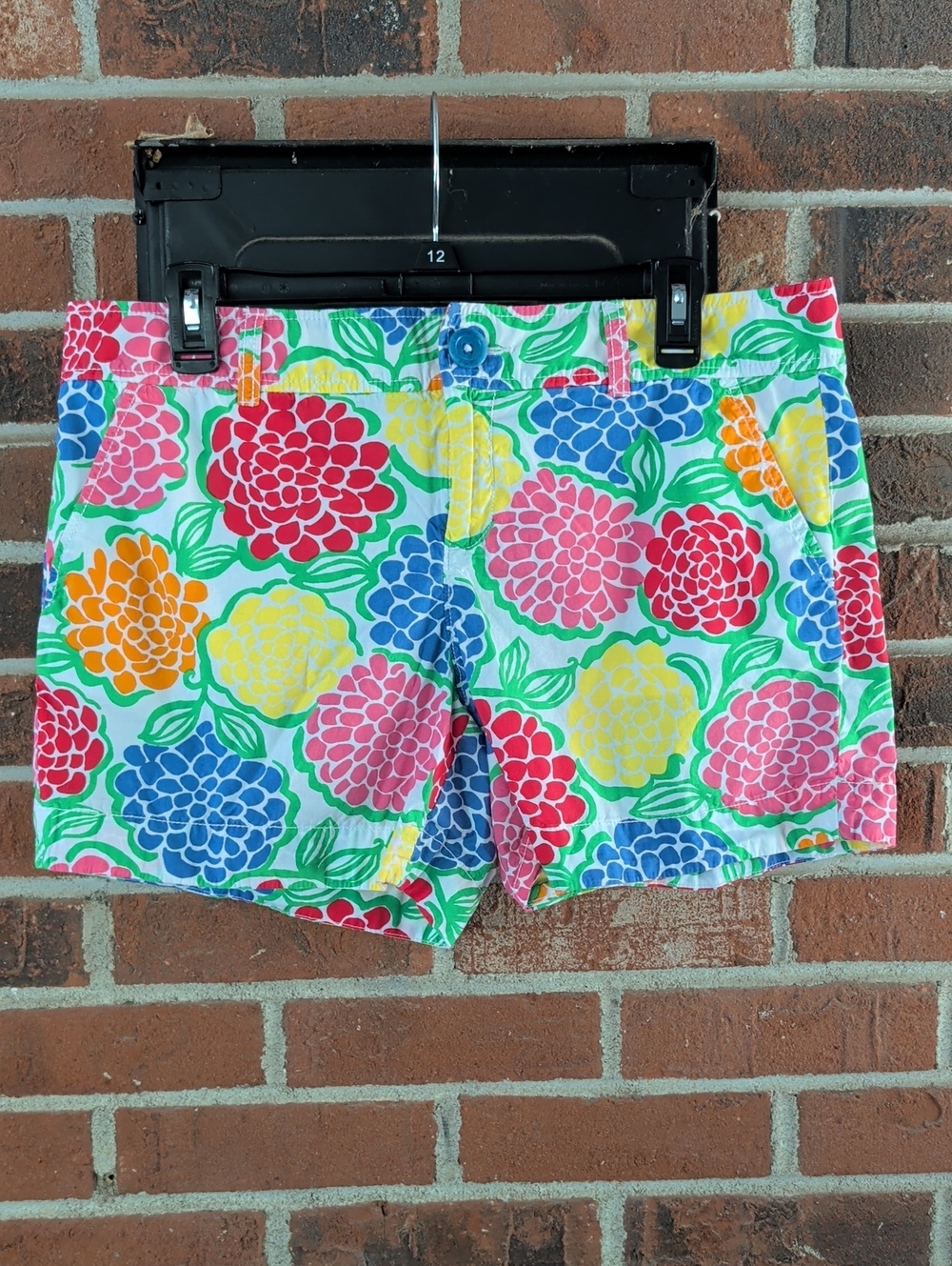 Lilly Pulitzer  Multicolor Chino  Shorts Size 10 (841)